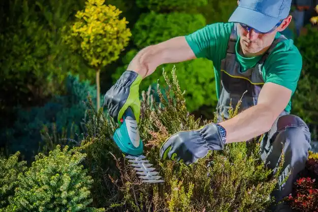 landscaping services Brewster